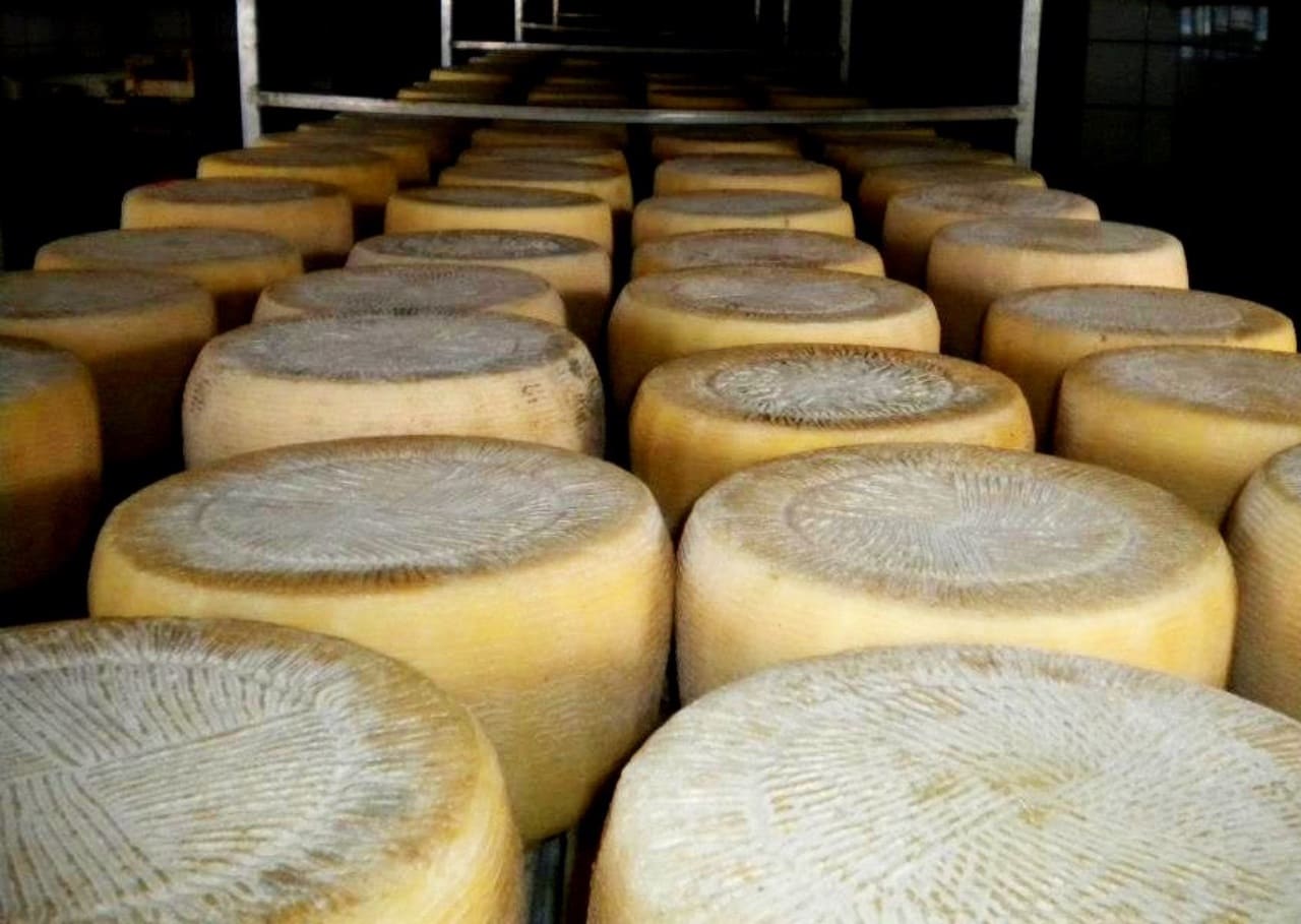 pecorino crotonese